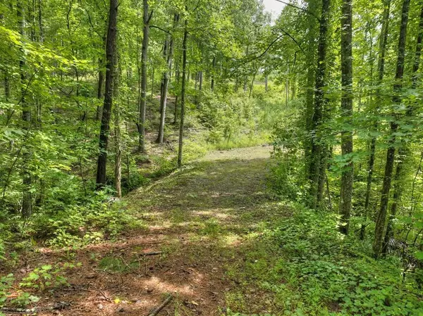 Lt. 127 Red Hawk Trail, Ellijay, GA 30536