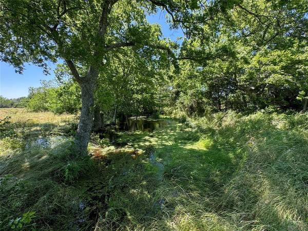 Celeste, TX 75423,Lot 2 FM 903