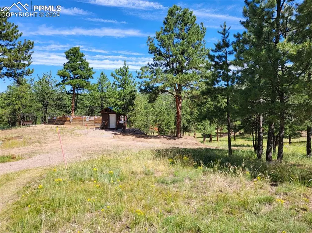 Westcliffe, CO 81252,127 Beneaton LN