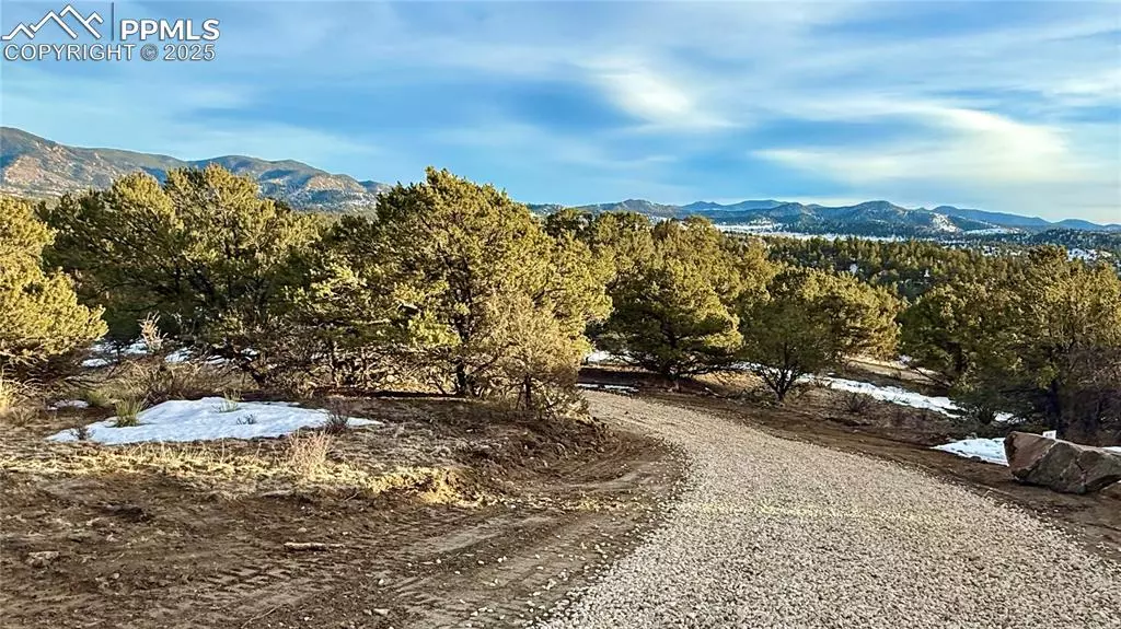 Westcliffe, CO 81252,516 Durfee CIR