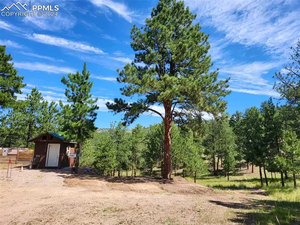 Westcliffe, CO 81252,127 Beneaton LN