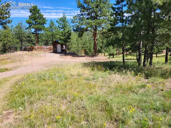 Westcliffe, CO 81252,127 Beneaton LN