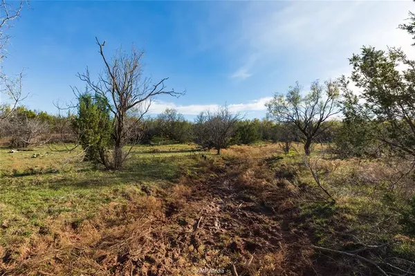 Merkel, TX 79536,000 County Road 359