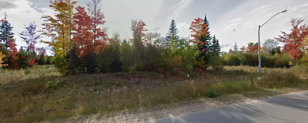 Bancroft, ON K0L 1C0,LOT 19 Nicklaus DR