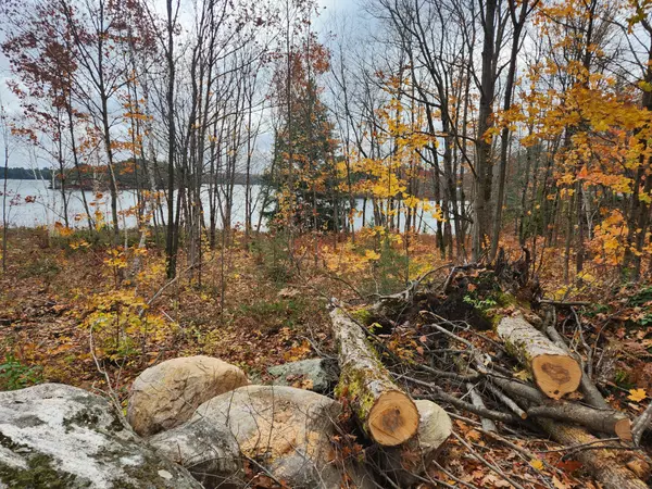 Georgian Bay, ON P0C 1H0,52 Hawkins Point RD