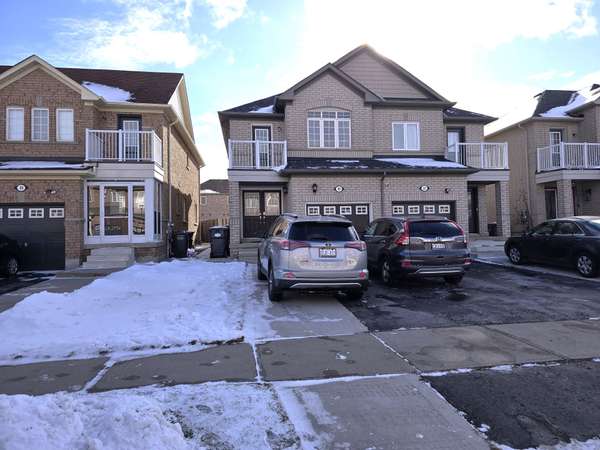 35 Tanasi RD #Bsmt, Brampton, ON L6X 0K5