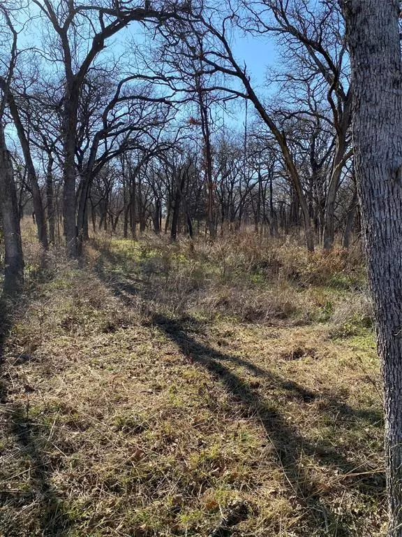 tbd Banjo, Alvord, TX 76255