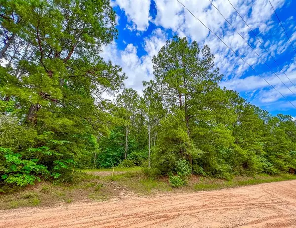 0000 Hickman Road, Corrigan, TX 75939