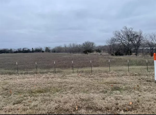 Ector, TX 75439,TBD W TX-56 Highway