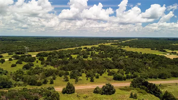 Wortham, TX 76693,Tract 6 Fm-1366