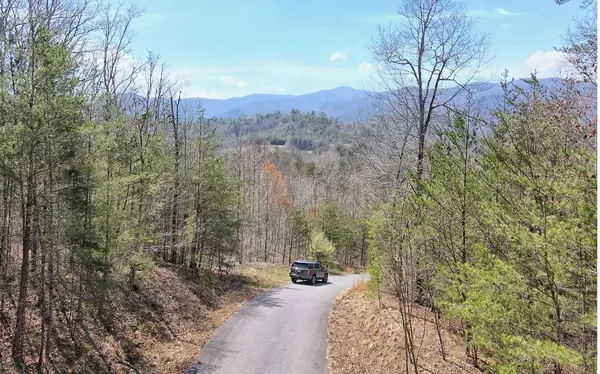 Hiawassee, GA 30546,LT17 Mill Ridge Road