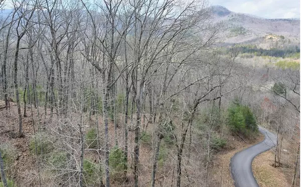 Hiawassee, GA 30546,LT17 Mill Ridge Road