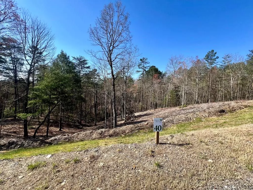 Mineral Bluff, GA 30559,Lot 40 Mountain Laurel Ridge