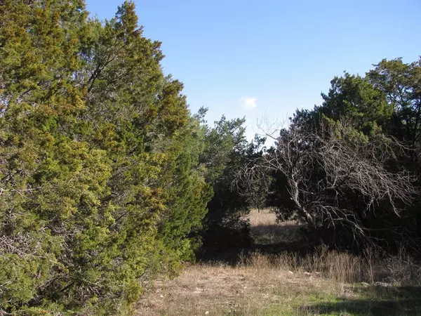 Evant, TX 76525,Lot 3 Ph 6 County Road 421