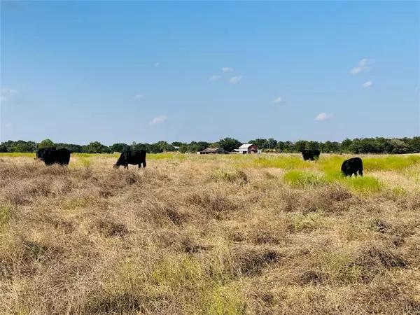 Zephyr, TX 76890,13301 County Road 291