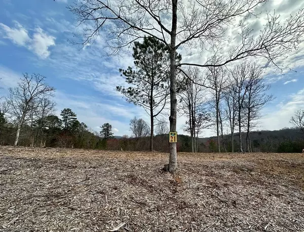 Lot 21 Arbor Creek Trail, Mineral Bluff, GA 30559