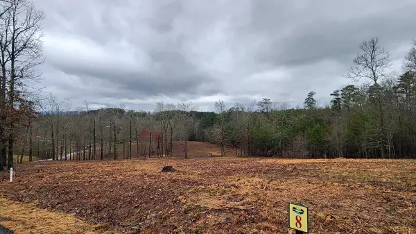 Lot 8 Arbor Creek Trail, Mineral Bluff, GA 30559