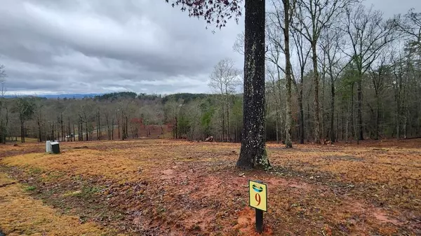 Lot 9 Arbor Creek Trail, Mineral Bluff, GA 30559