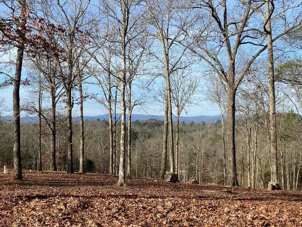 Lot 10 Arbor Creek Trail, Mineral Bluff, GA 30559