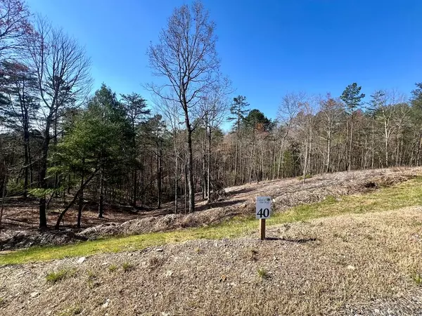 Lot 40 Mountain Laurel Ridge, Mineral Bluff, GA 30559