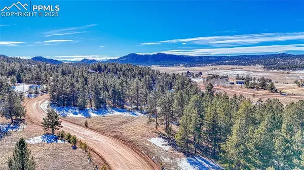 1431 S Mountain Estates RD, Florissant, CO 80816