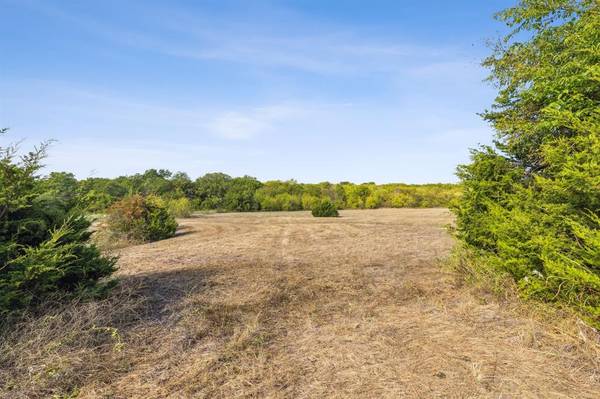 Lot 10 Beaver Creek Road, Wylie, TX 75098