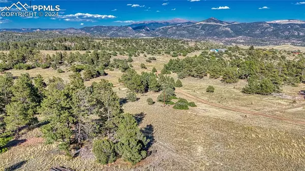 1187 Apache RD, Florissant, CO 80816