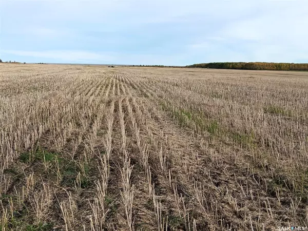 Arborfield Rm No. 456, SK S0E 0A0,Rural Address