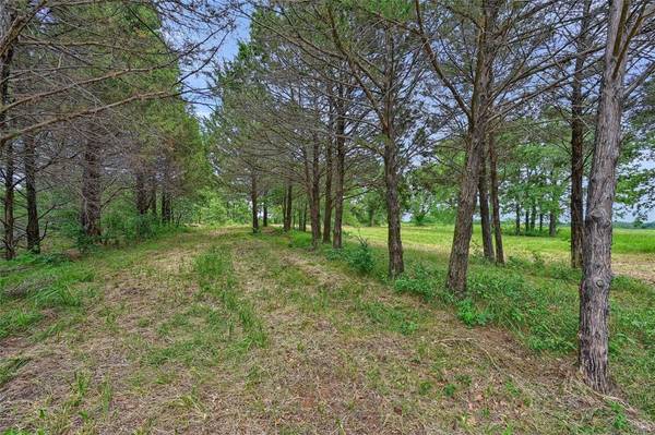 Gordonville, TX 76245,3+ AC US-377 Highway