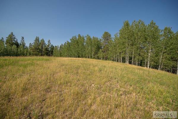 Lot 11 Potpourri Drive, Ashton, ID 83420