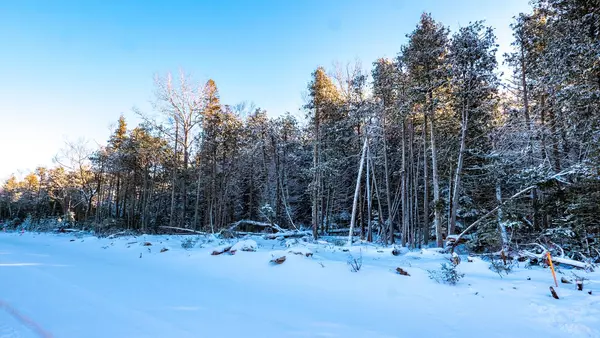 Northern Bruce Peninsula, ON N0H 1W0,LOT 5 TRILLIUM CROSSING N/A