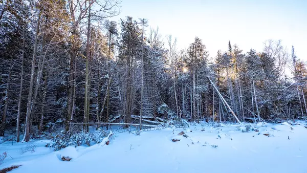 Northern Bruce Peninsula, ON N0H 1W0,LOT 5 TRILLIUM CROSSING N/A