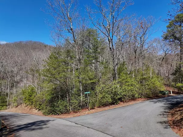 Hayesville, NC 28904,LT24 Mission Ridge Court