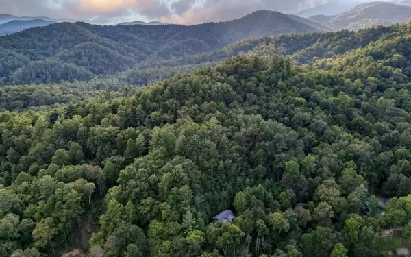 Ellijay, GA 30540,381 Cohutta Wilderness Trail