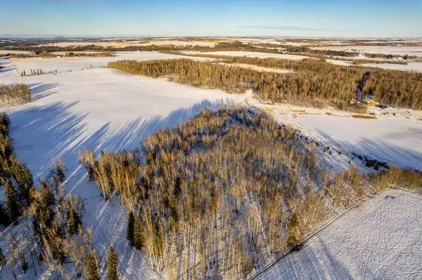 Rural Mountain View County, AB T0M 1X0,30502 Range Road 44