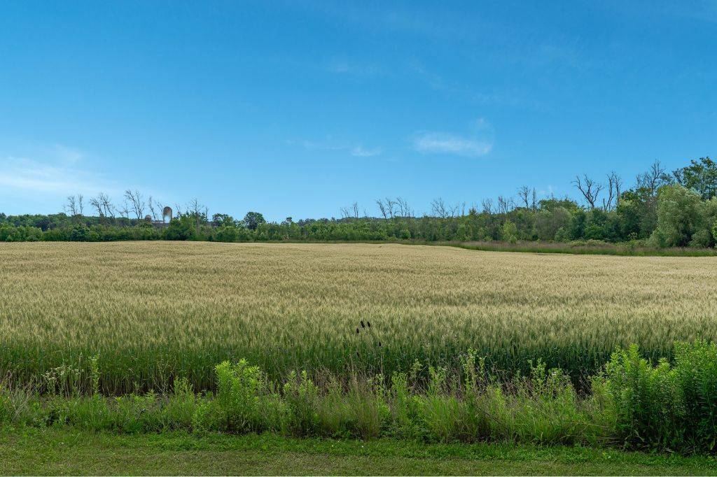 Haldimand, ON N0A 1C0,1386 Townline RD E
