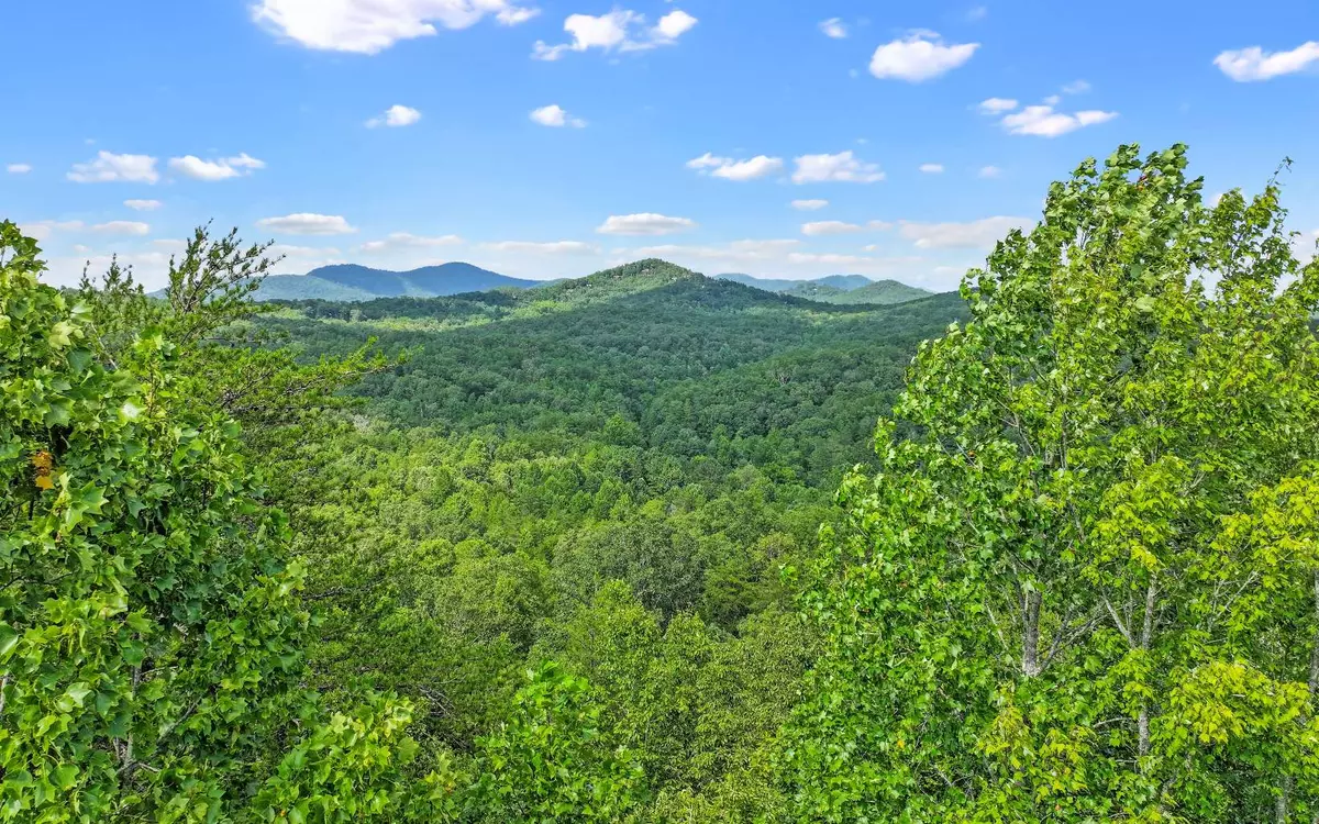 Mineral Bluff, GA 30559,North View Drive