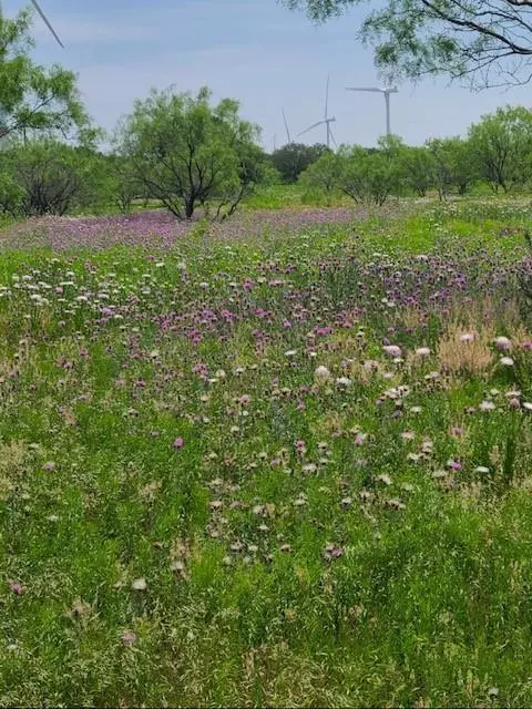 TBD County Road 423, Cisco, TX 76437