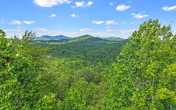 North View Drive,  Mineral Bluff,  GA 30559