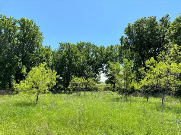 Brownwood, TX 76801,10500 CR 225