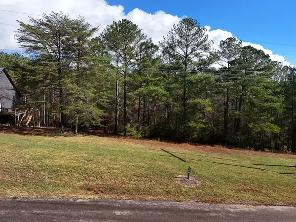 Blairsville, GA 30512,Lot 36 Sanctuary Drive