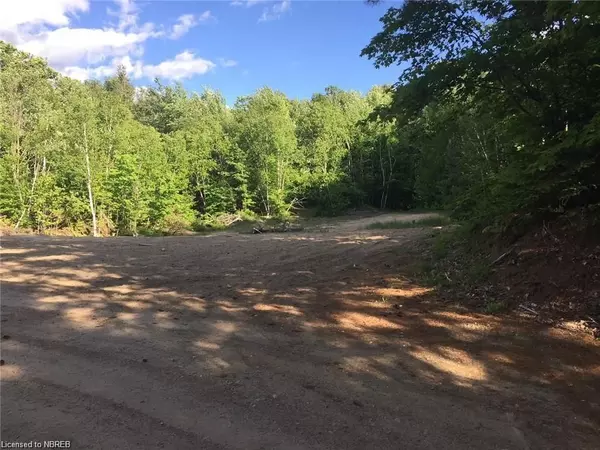 LOT 28 CONCESSION 11 RD, Lake Of Bays, ON P0A 1H0