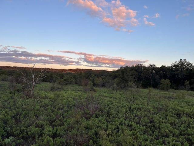 73 ac Hwy 16, Loving, TX 76460