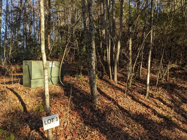 Hayesville, NC 29804,Lot 3 Mission Dam Overlook