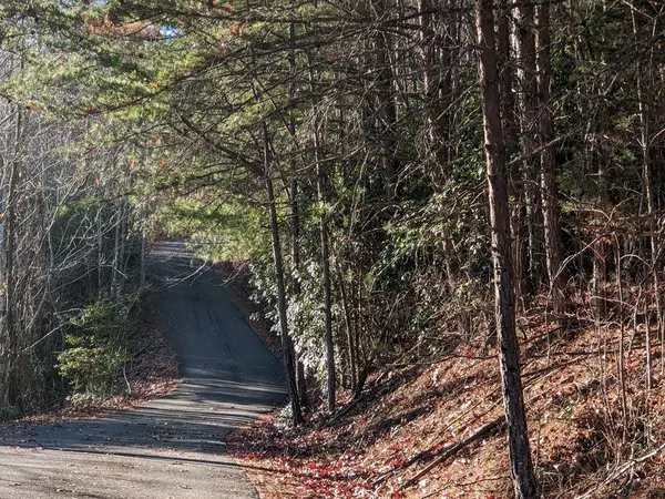 Hayesville, NC 29804,Lot 3 Mission Dam Overlook