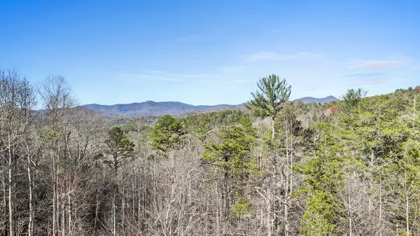 Mineral Bluff, GA 30559,220 Mountain High Drive