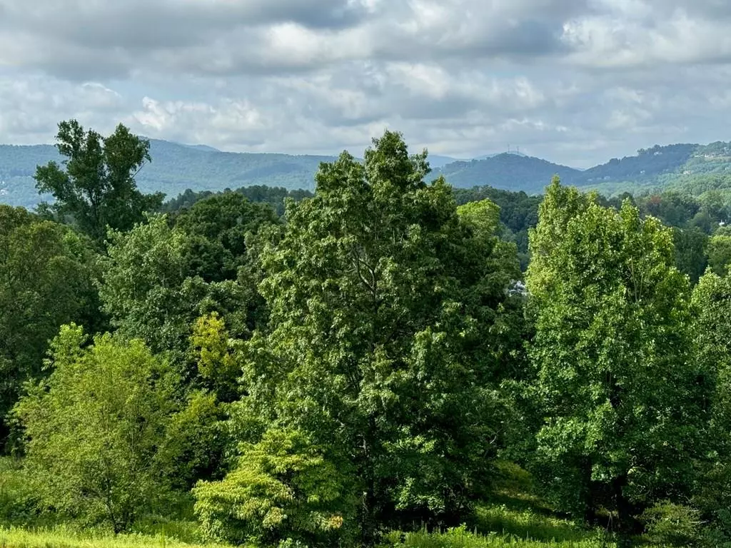 Hayesville, NC 28904,Lot 10 Chatuge Shores Overlook