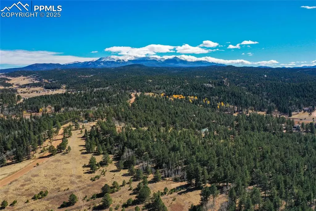 Florissant, CO 80816,2756 County Road 421