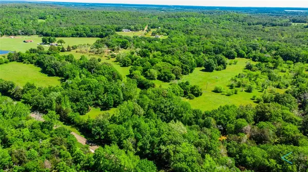 Larue, TX 75770,58 Acres FM 315