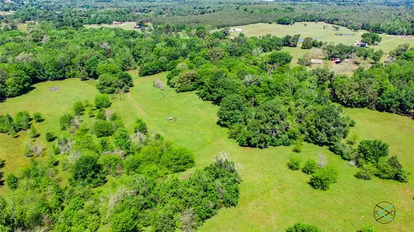 Larue, TX 75770,58 Acres FM 315